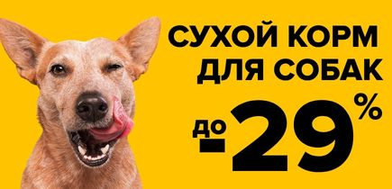 СКИДКА на сухой корм для собак